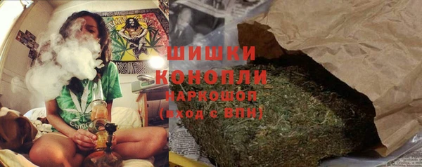 стафф Коряжма